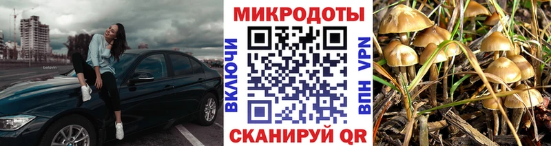 Псилоцибиновые грибы мухоморы дарнет шоп Новоаннинский